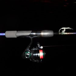 金曜日の晩ボウズでリベンジしたものの