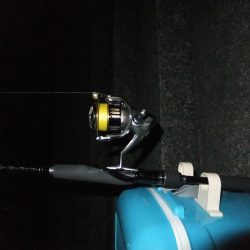 今年初シーバス