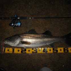 時合いはたったの30分…