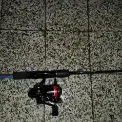 今年初の鰺ゲット