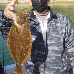 ズズキ・鯛・アコウ・ヒラメ