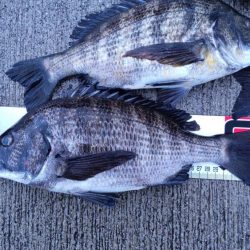 数は上向き 型は下向き