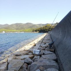 室津のキス釣り