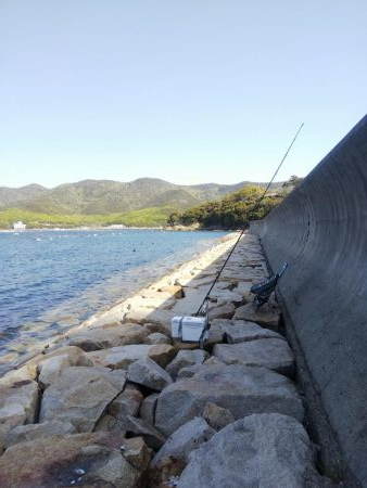 室津のキス釣り