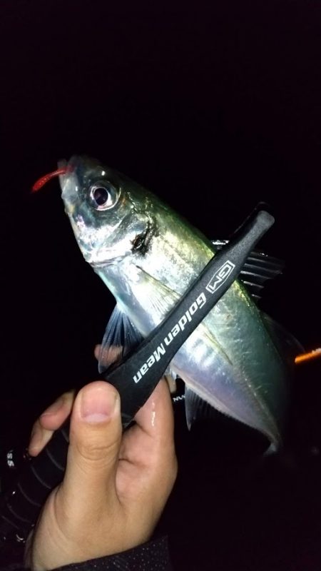 フロートアジング　