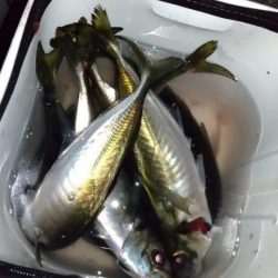 フロートアジング