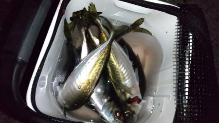 フロートアジング