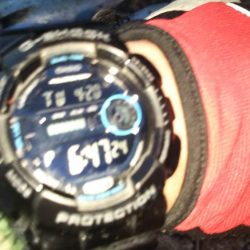 ぶらシーバス！！