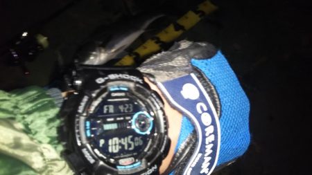 ぶらシーバス！！