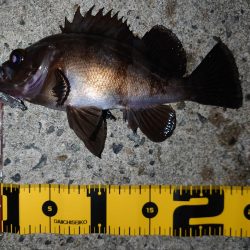 自己記録を求めて