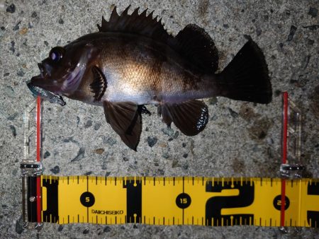 自己記録を求めて