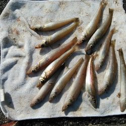 久々に遠征しました