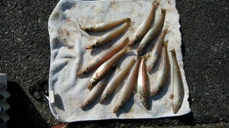 久々に遠征しました