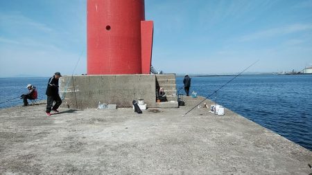 活性が上がらない播磨新島周辺のキス