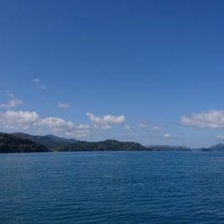 コウイカもアジも厳しい