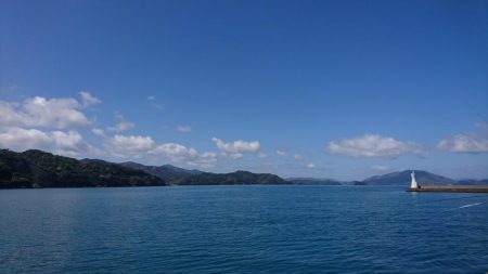 コウイカもアジも厳しい