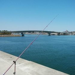 東二見白灯台波止のキス調査