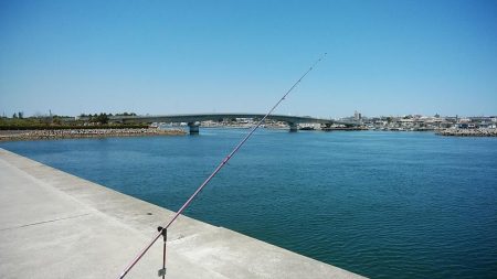 東二見白灯台波止のキス調査