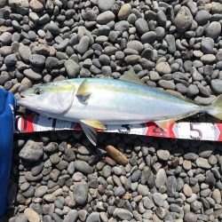 強風の中、ブリゲット