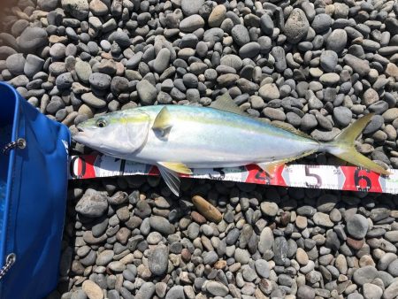 強風の中、ブリゲット