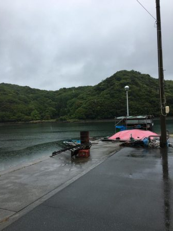鳴門　ウチの海　イカダ