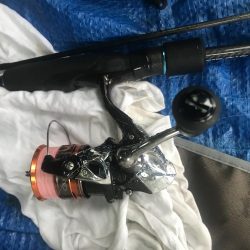 朝マズメのアジング