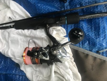 朝マズメのアジング