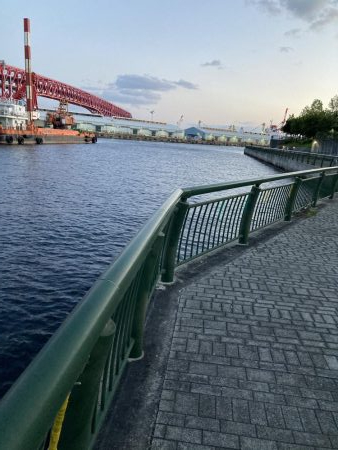 タケノコメバル