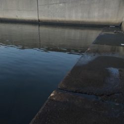 今日はボイルの出た場所で