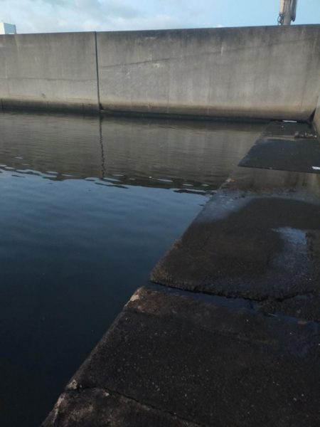 今日はボイルの出た場所で