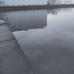 大潮明けたら活発に