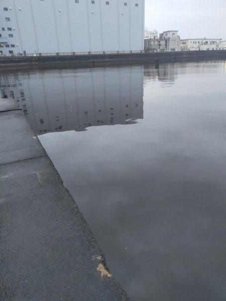 大潮明けたら活発に