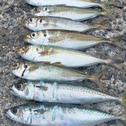 表層パターンで連発