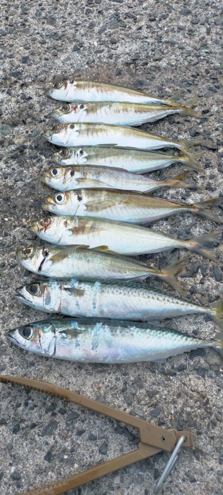 表層パターンで連発