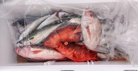 康仁丸・ジギング釣り果