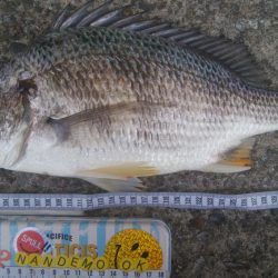 釣りデビュー　124日目