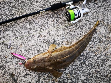 １０日ぶりにやっと釣れました