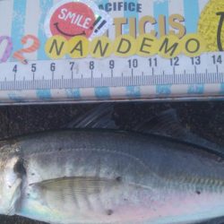 釣りデビュー　126日目