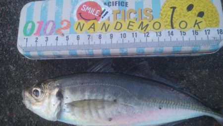 釣りデビュー　126日目