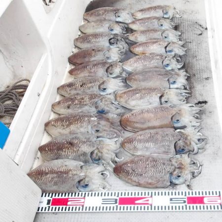 SOUTH釣果　欲張りプラン