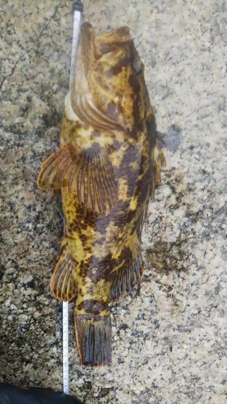 春と言う名の根魚を求めて
