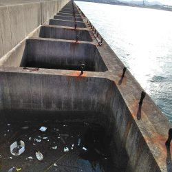 アジ・・・バラシ一回・・