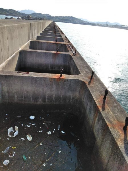 アジ・・・バラシ一回・・