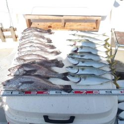 SOUTH釣果 欲張りプラン