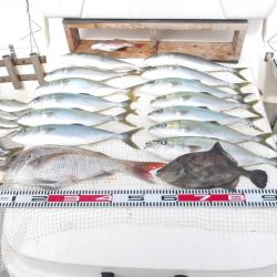 SOUTH チャーター便3名様釣果