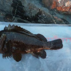 メテオストライク