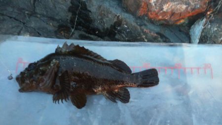 メテオストライク