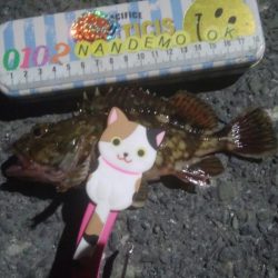 釣りデビュー　140日目