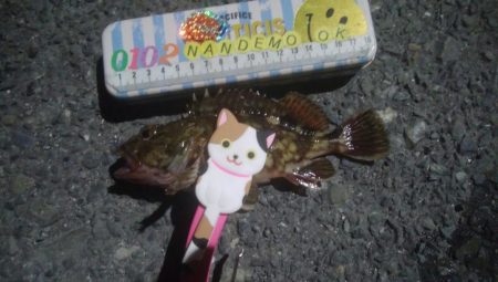 釣りデビュー　140日目