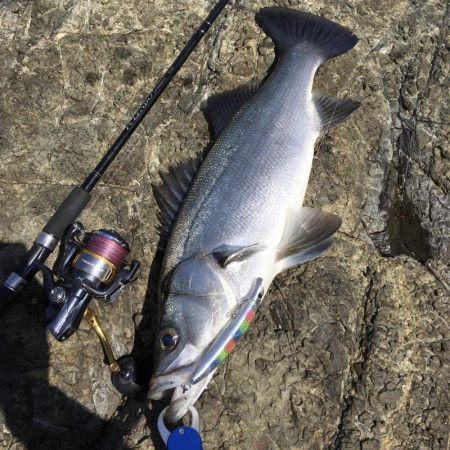 A.P.Pフィッシングガイドサービス　ロッ…